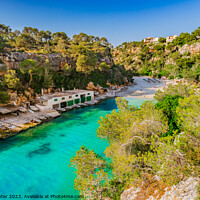 Buy canvas prints of Beautiful beach of Cala Pi bay on Mallorca by Alex Winter
