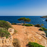 Buy canvas prints of Coastline on Mallorca by Alex Winter