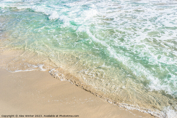 Soft blue sea wave on sand beach, close-up Picture Board by Alex Winter
