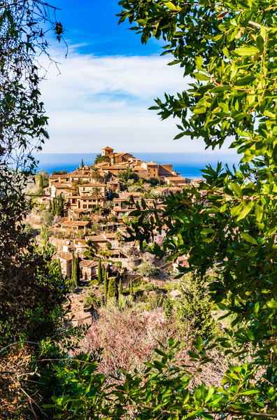 Old village Deia on Majorca island, Spain Picture Board by Alex Winter
