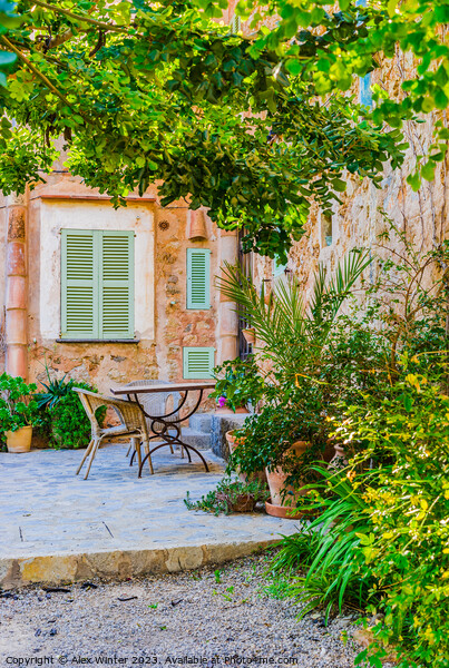 Serene Mediterranean Garden Paradise Picture Board by Alex Winter