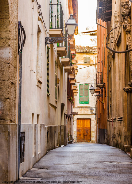 Historic Palma de Mallorca, Spain Picture Board by Alex Winter