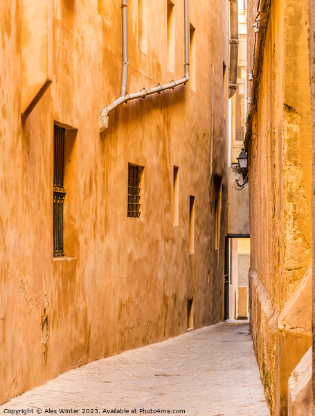 Historic city center of Palma de Mallorca Picture Board by Alex Winter