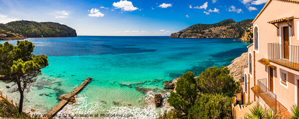 Idyllic sea view of bay in Camp de Mar Mallorca Acrylic by Alex Winter