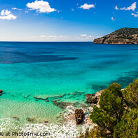 Buy canvas prints of Idyllic sea view of bay in Camp de Mar Mallorca by Alex Winter