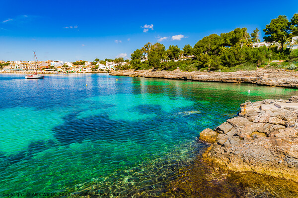 Beautiful view of the coast in Portopetro Picture Board by Alex Winter