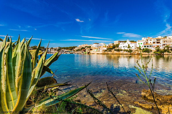 Beautiful coast on Majorca, Portopetro Picture Board by Alex Winter