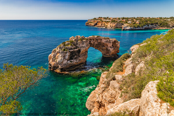 Es Pontas, rock arch on Mallorca island Picture Board by Alex Winter