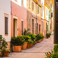 Buy canvas prints of City center of Alcudia by Alex Winter