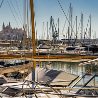 Buy canvas prints of Cathedral La Seu and marina harbour of Palma by Alex Winter