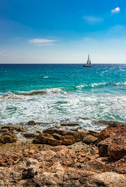 Idyllic view of sailing yacht  Picture Board by Alex Winter