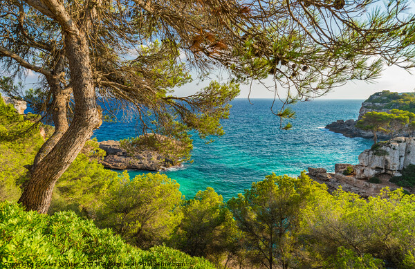 Beautiful coast view on Mallorca Picture Board by Alex Winter