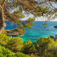 Buy canvas prints of Beautiful coast view on Mallorca by Alex Winter