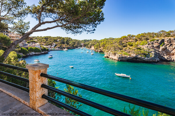 Bay harbor of Cala Figuera Picture Board by Alex Winter