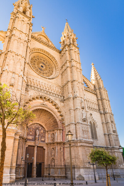 Cathedral La Seu in Palma de Mallorca Picture Board by Alex Winter