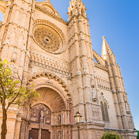 Buy canvas prints of Cathedral La Seu in Palma de Mallorca by Alex Winter