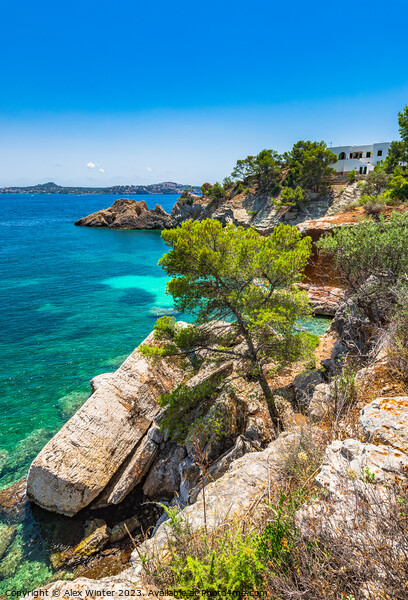 Coast landscape Mediterranean Sea Majorca island,  Picture Board by Alex Winter