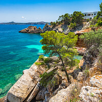 Buy canvas prints of Coast landscape Mediterranean Sea Majorca island,  by Alex Winter