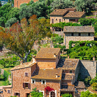 Buy canvas prints of A Rustic Mediterranean Fornalutx village, Spain by Alex Winter