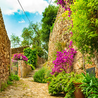 Buy canvas prints of Idyllic view of beautiful flowers street in old vi by Alex Winter