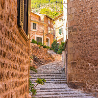 Buy canvas prints of Old village of Fornalutx on Majorca by Alex Winter