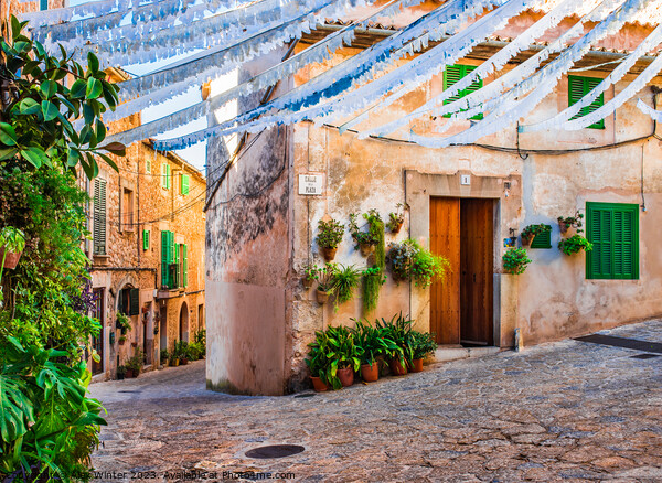 Old mediterranean village in the Heart of Majorca Picture Board by Alex Winter