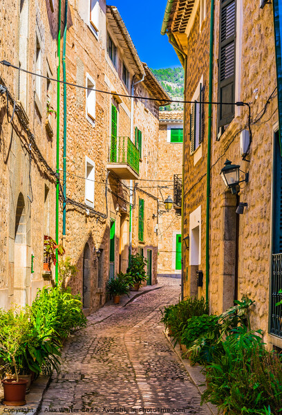 idyllic mediterranean street, Village Picture Board by Alex Winter