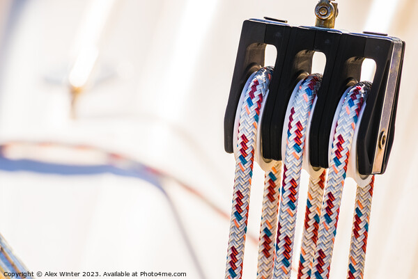 Close-up of pulley with nautical rope Picture Board by Alex Winter