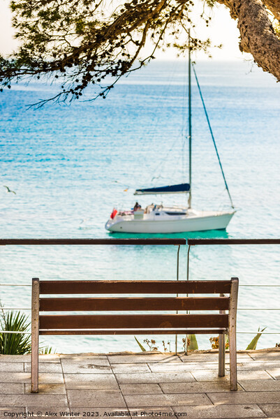 Idyllic view of sailboat Picture Board by Alex Winter