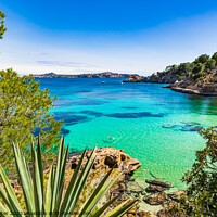 Buy canvas prints of Majorca Cala Fornells by Alex Winter