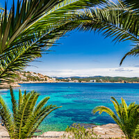 Buy canvas prints of Stunning Seaside Paradise in Cala Fornells by Alex Winter