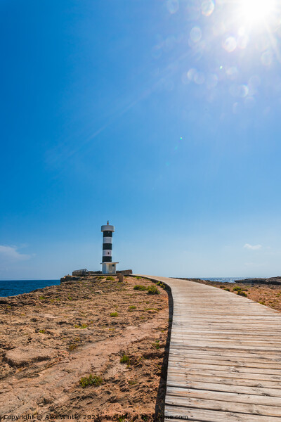 Lighthouse Sant Jordi Picture Board by Alex Winter