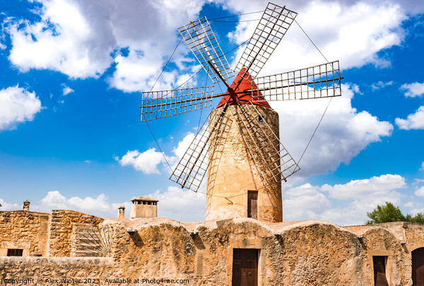 View of old rustic traditional windmill Picture Board by Alex Winter