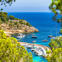 Buy canvas prints of Portals Vells marina Luxury Yachting  by Alex Winter