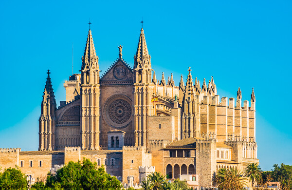 Cathedral of Palma de Majorca Canvas Print by Alex Winter