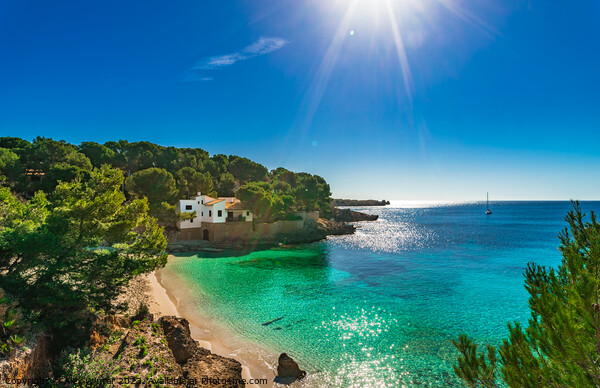 Idyllic island scenery, Majorca beach Cala Gat Picture Board by Alex Winter