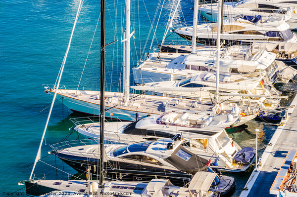 Luxury yachts boats anchored at marina Picture Board by Alex Winter