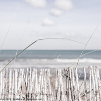 Buy canvas prints of A dreamy view of the sea, boho style by Alex Winter