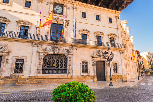 Town hall in the historic city center of Palma Picture Board by Alex Winter