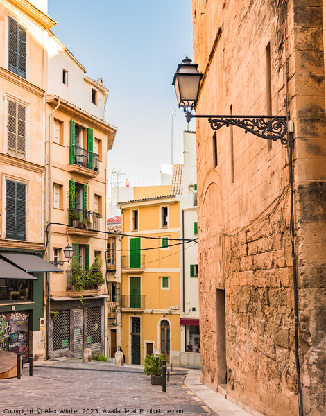 Street in the old town of Palma de Mallorca, Spain Picture Board by Alex Winter