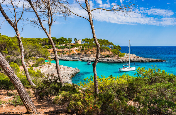 Bay with boats yacht at beautiful seaside on Majorca Spain, Balearic Islands Picture Board by Alex Winter