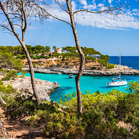 Buy canvas prints of Bay with boats yacht at beautiful seaside on Majorca Spain, Balearic Islands by Alex Winter