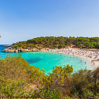 Buy canvas prints of Bay of S'Amarador beach at Mondrago Park, beautiful coast on Mallorca island, Spain by Alex Winter