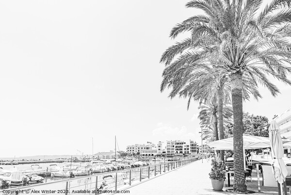 Promenade of port in Cala Bona on Mallorca island, Picture Board by Alex Winter