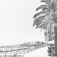Buy canvas prints of Promenade of port in Cala Bona on Mallorca island, by Alex Winter