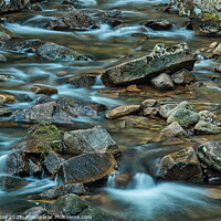 Buy canvas prints of The Tranquil Stream by Martin Day