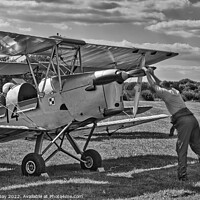 Buy canvas prints of A Classic Beauty Takes Flight by Martin Day