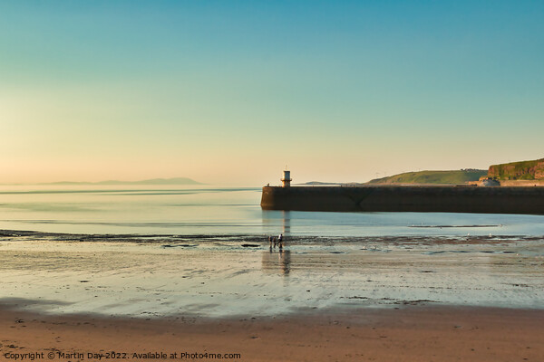 Golden Hour Bait Digging in Whitehaven Picture Board by Martin Day