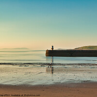 Buy canvas prints of Golden Hour Bait Digging in Whitehaven by Martin Day