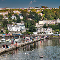 Buy canvas prints of Catching Crabs in Lively Looe by Martin Day